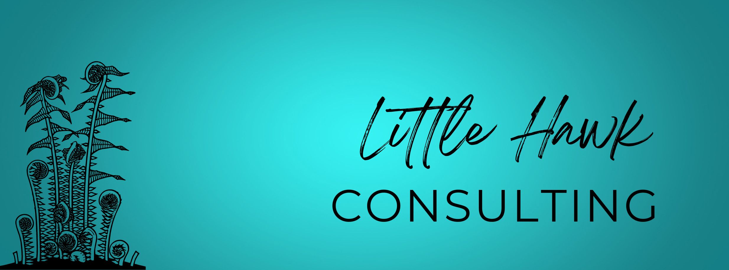 Little Hawk Consulting Teal Banner